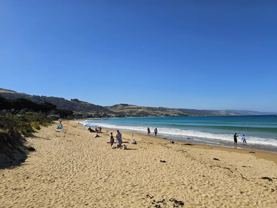 Playa de Apollo Bay