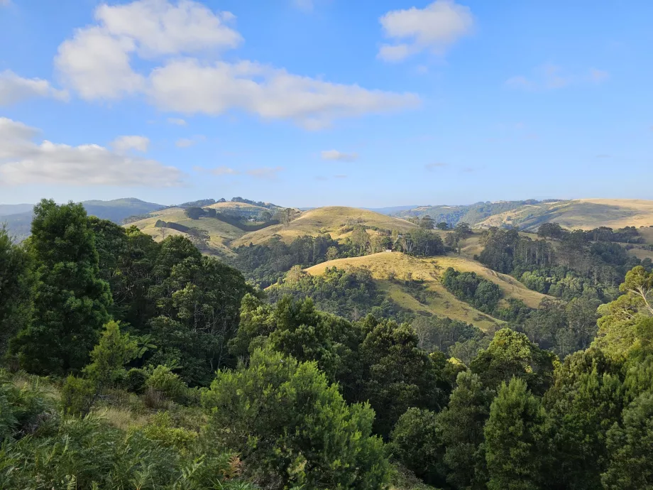 Parque Nacional de Great Otway