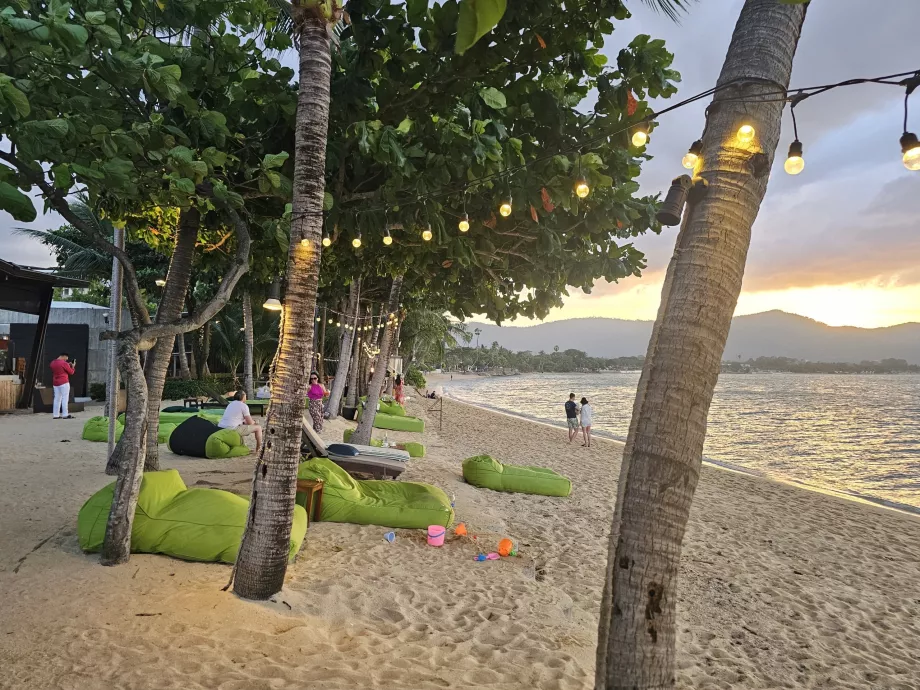 Playa del hotel al atardecer