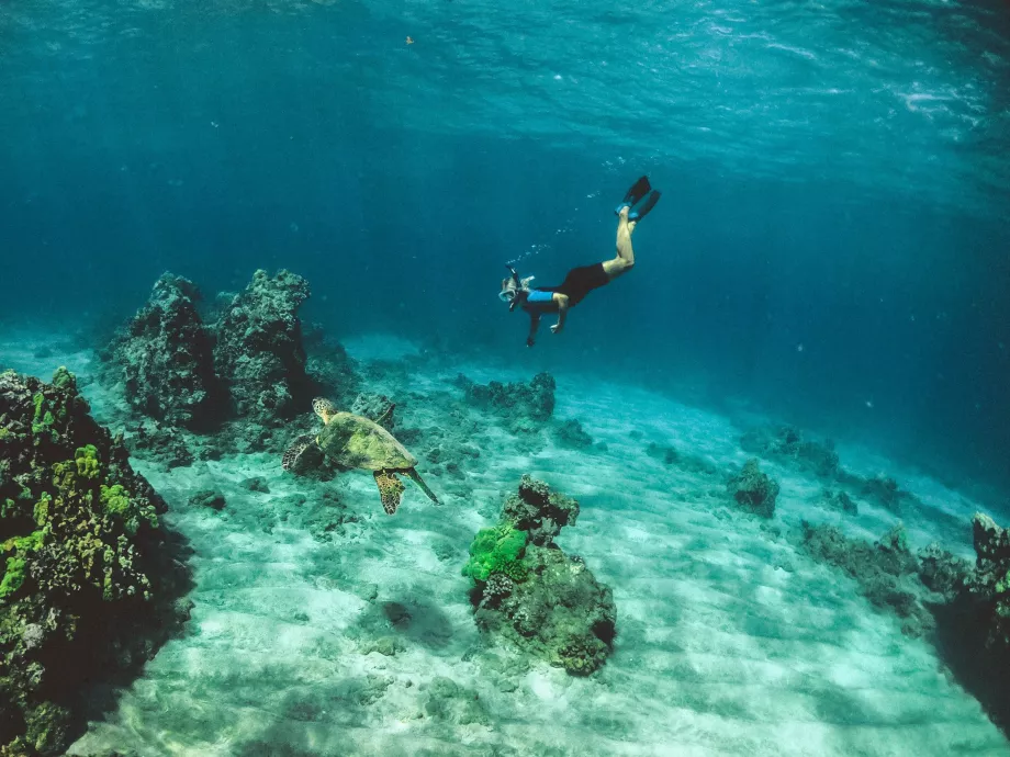 Buceo en Oahu