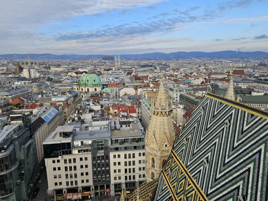 Vista desde la torre sur