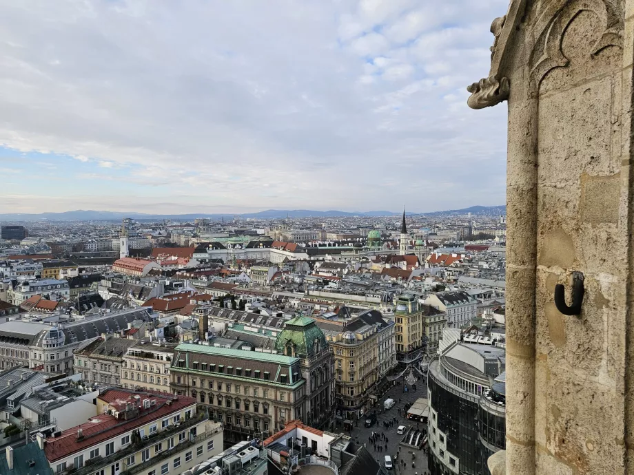 Vista desde la torre sur