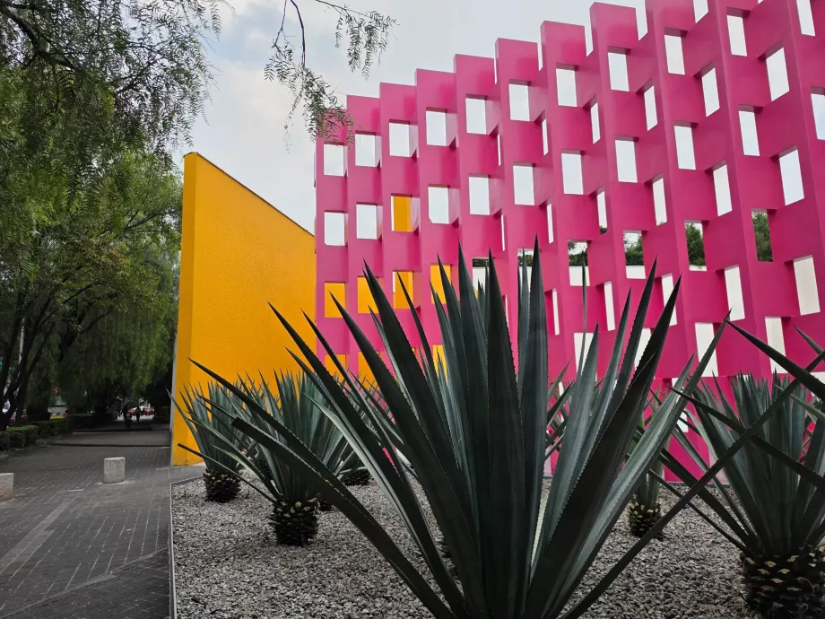 Pared Rosa