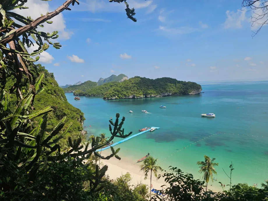 Sendero hasta el mirador más alto