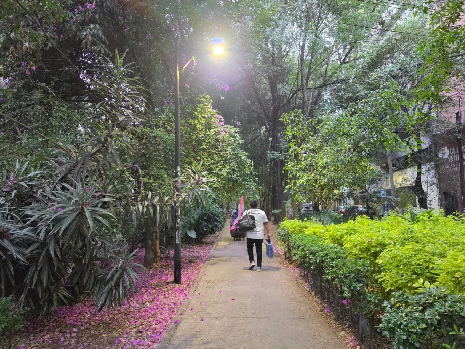 Barrio de Condesa