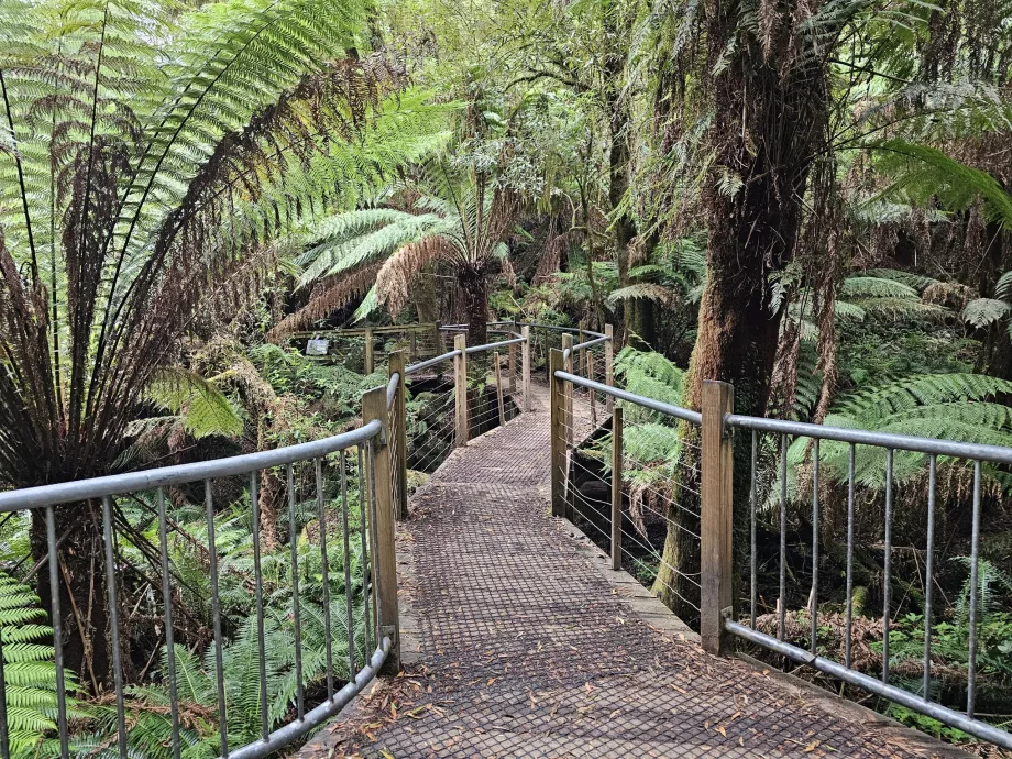 Cataratas Hopetoun
