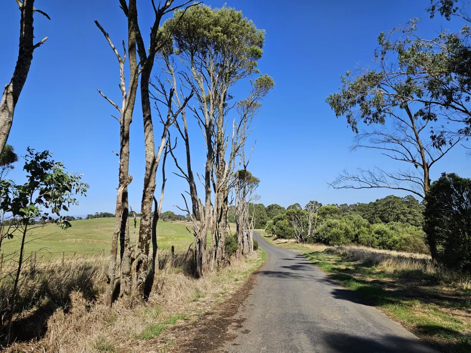 Parque Nacional de Great Otway