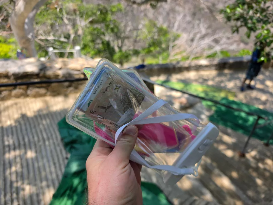Funda para móvil y dinero