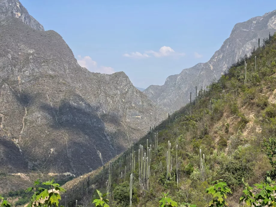 Paisaje en los alrededores