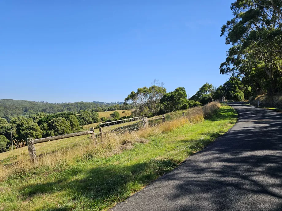 Carretera Blue Johanna