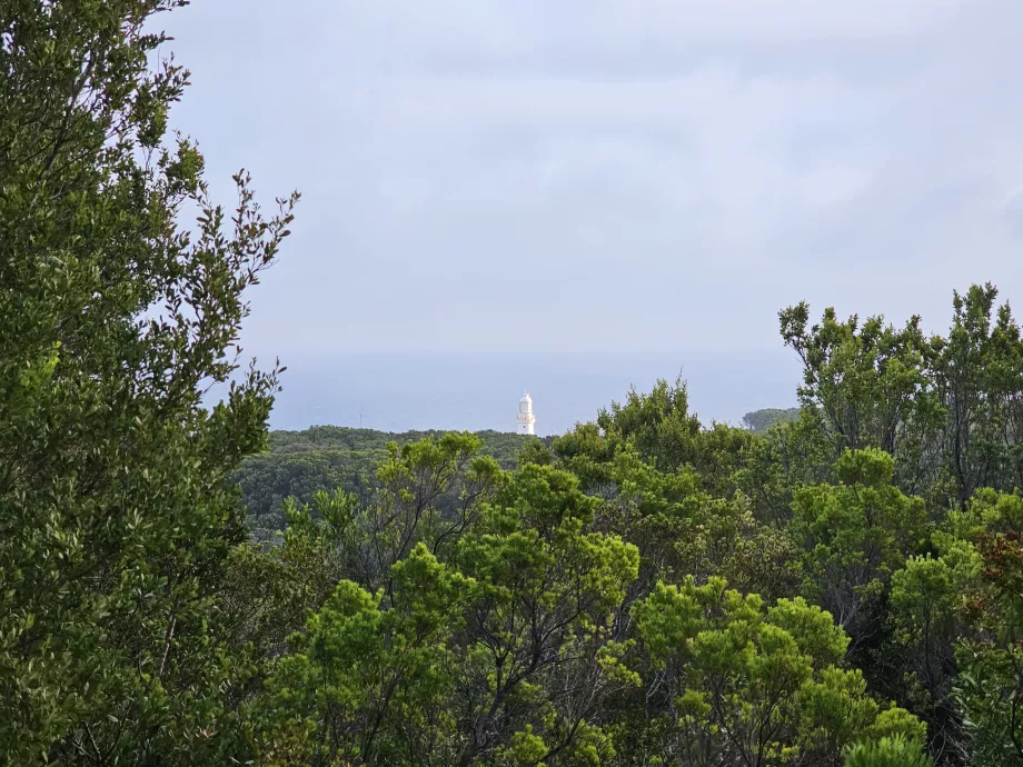 Una de las pocas vistas del faro desde el Great Ocean Walk