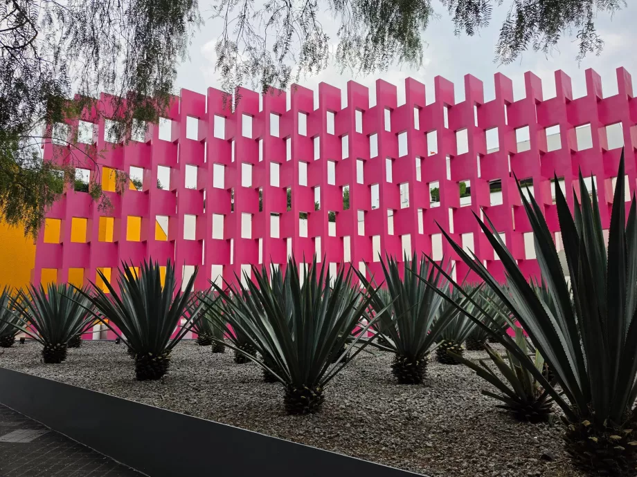 Pared Rosa