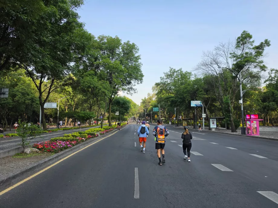 Una carrera matutina de domingo en Ciudad de México