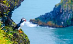 Islandia