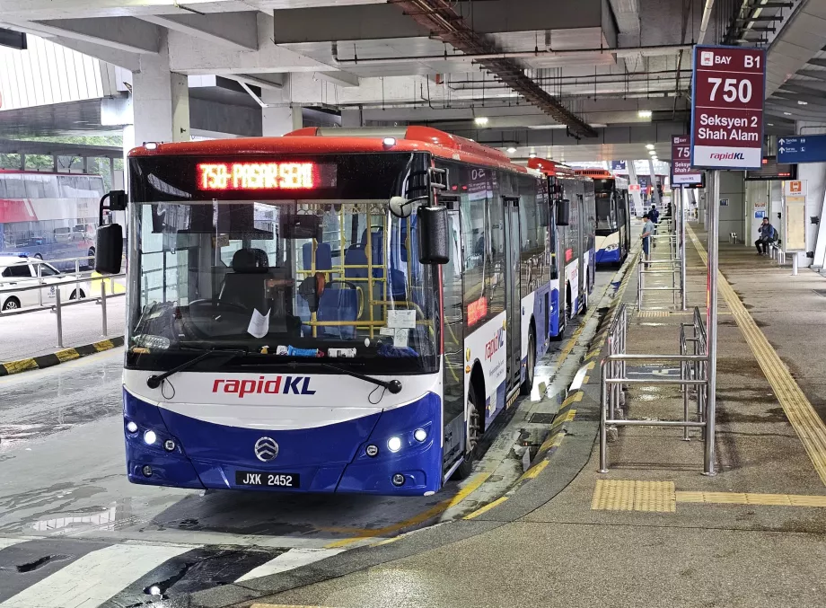 Autobuses rápidos KL