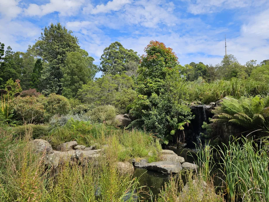 Jardín botánico