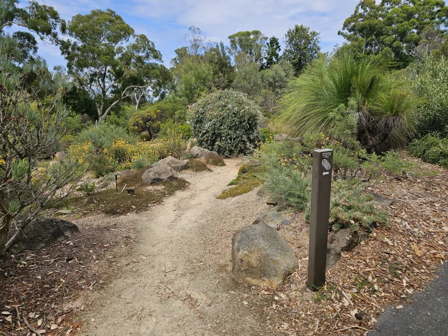 Jardín botánico