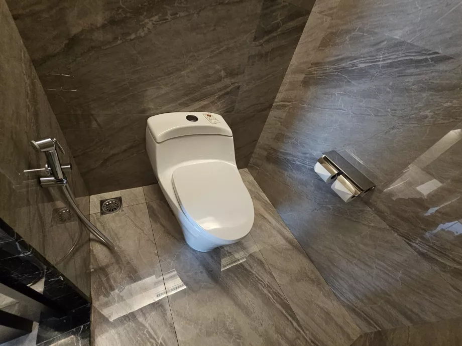 Aseo con ducha bidé