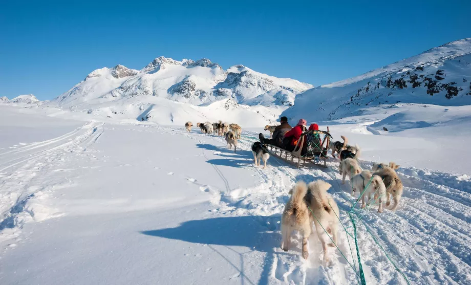 Trineos tirados por perros en Groenlandia