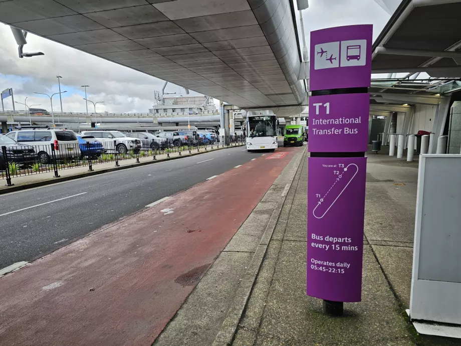Parada del autobús lanzadera, Terminal 3