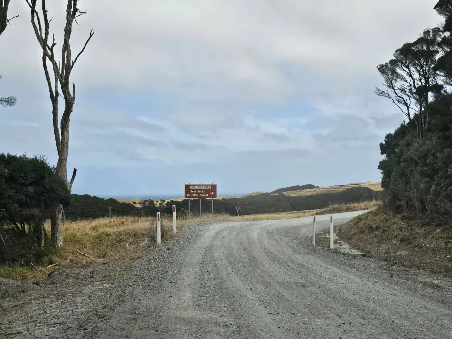 Carretera hacia el extremo sur de la isla