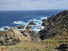 Isla del Rey
