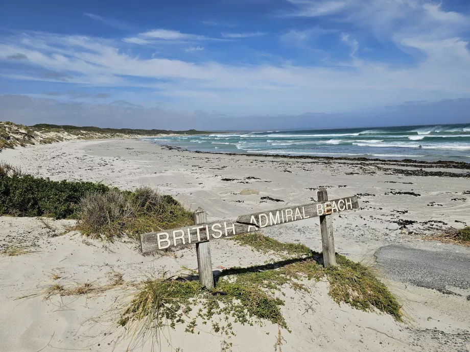Almirante británico Beach