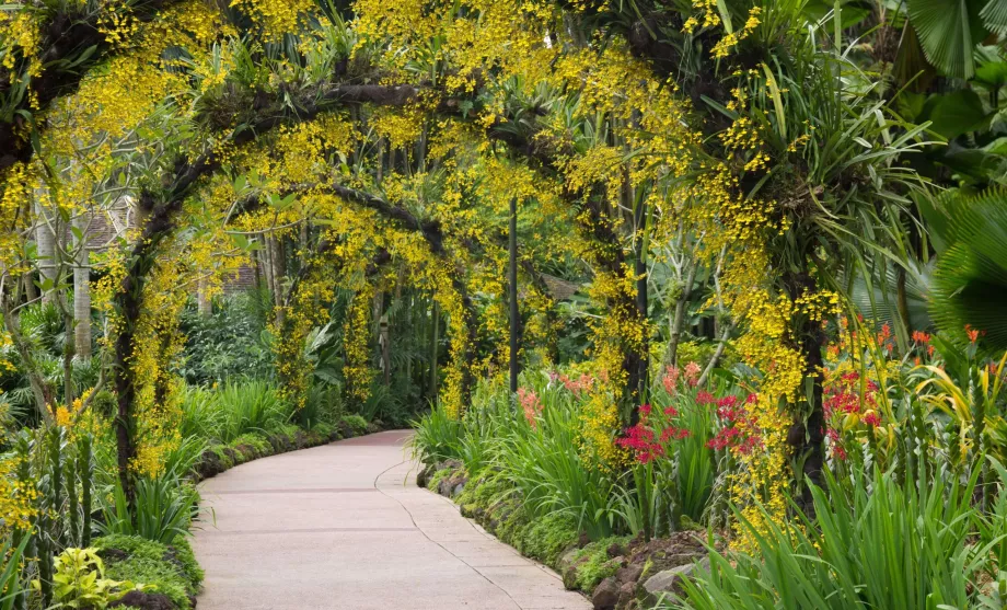 Jardín Botánico de Singapur