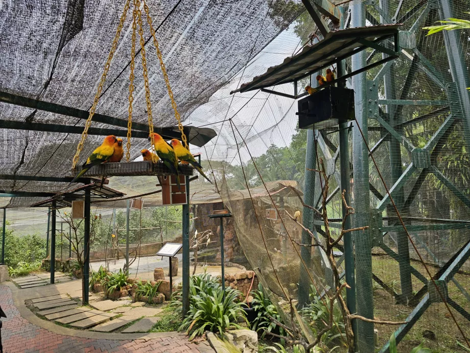 Parque de las Aves