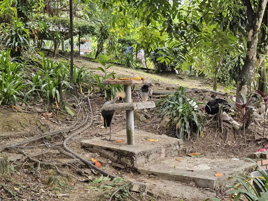 Parque de las Aves