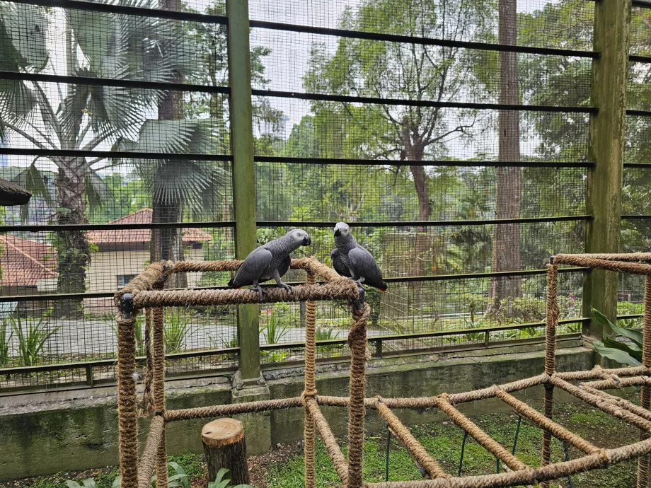 Parque de las Aves
