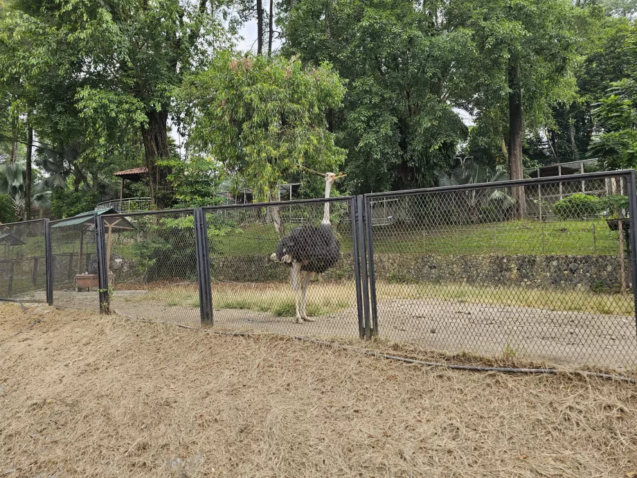Parque de las Aves