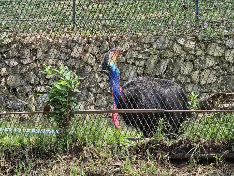Parque de las Aves