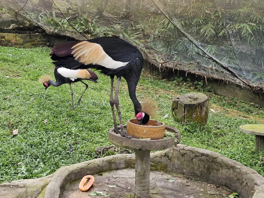 Parque de las Aves