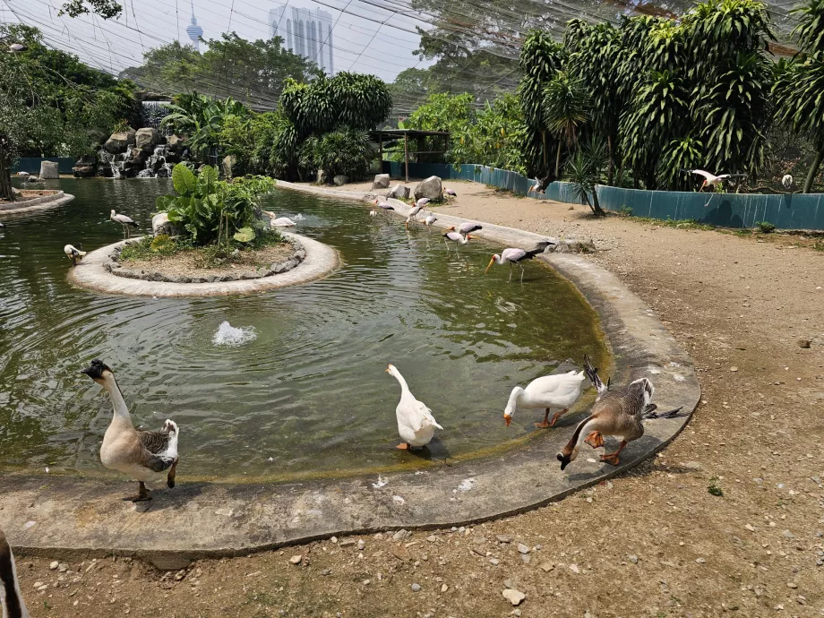Parque de las Aves