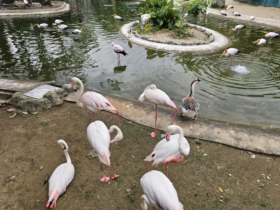 Parque de las Aves