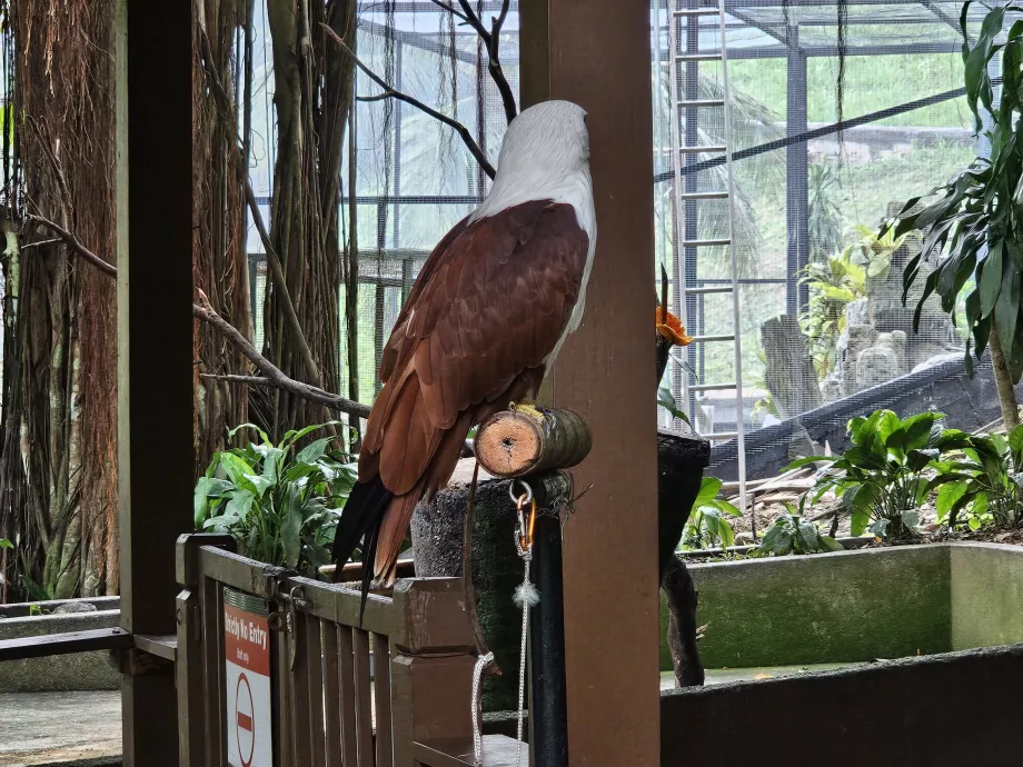 Parque de las Aves
