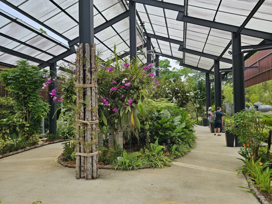 Jardín de orquídeas