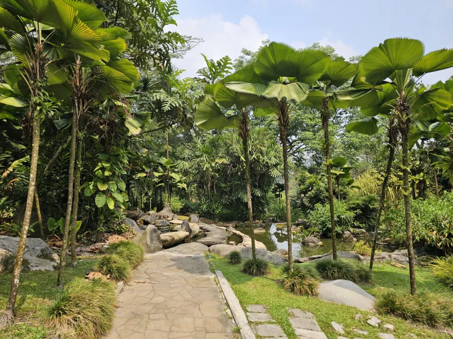 Jardín botánico