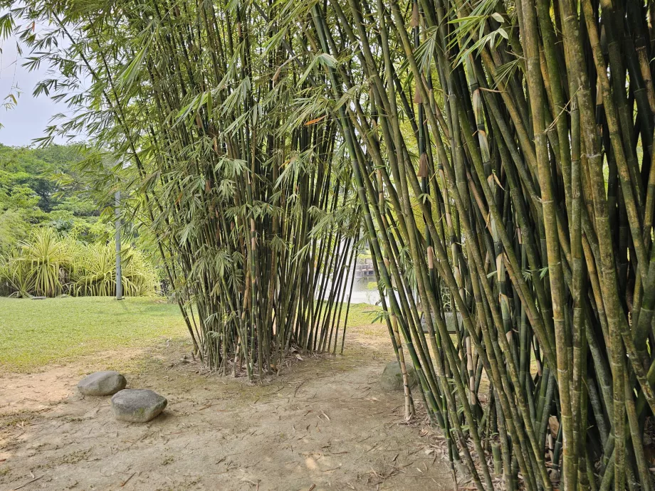 Jardín botánico