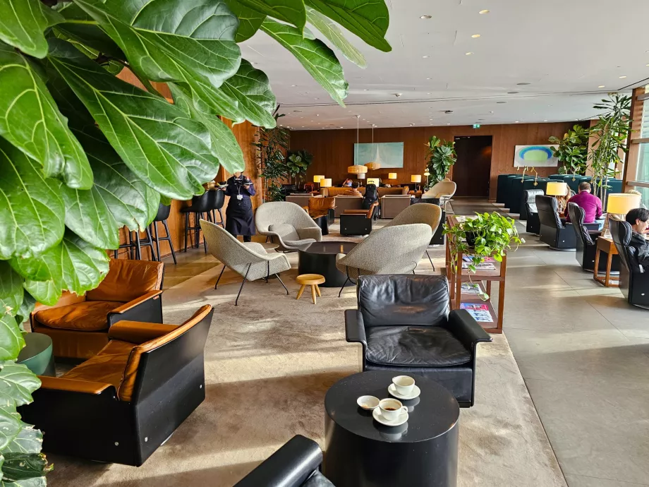 El entorno general del salón