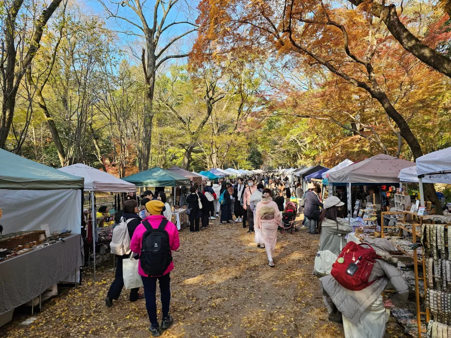El camino al Santuario de Shimogamo