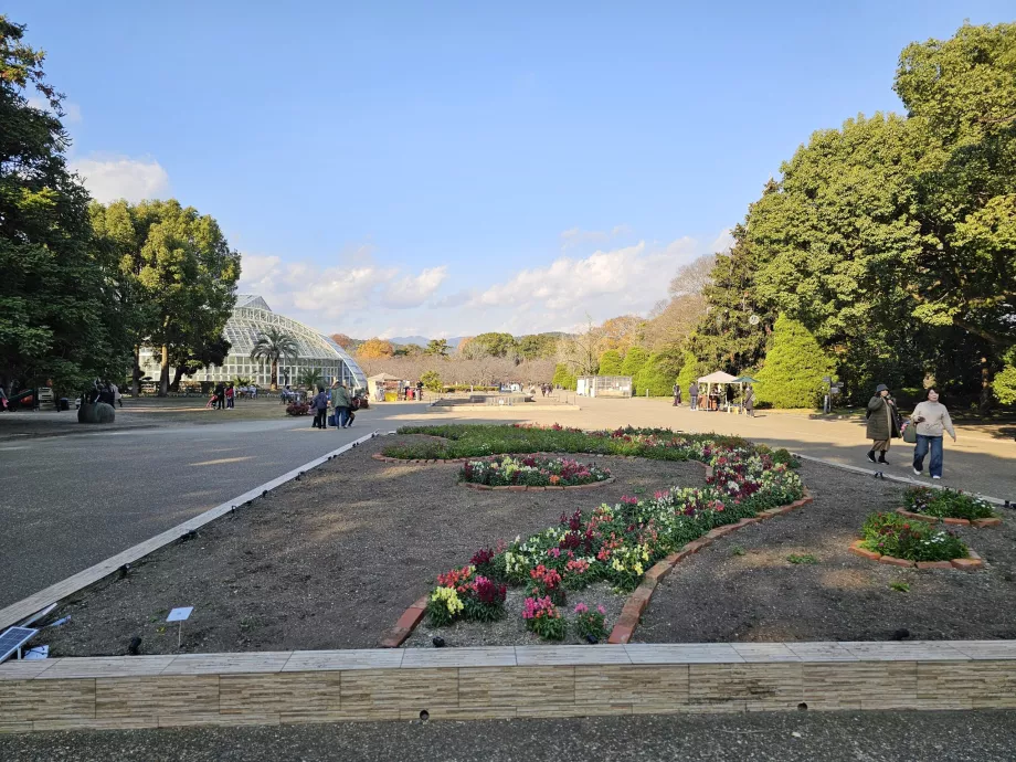Jardín Botánico de Kioto