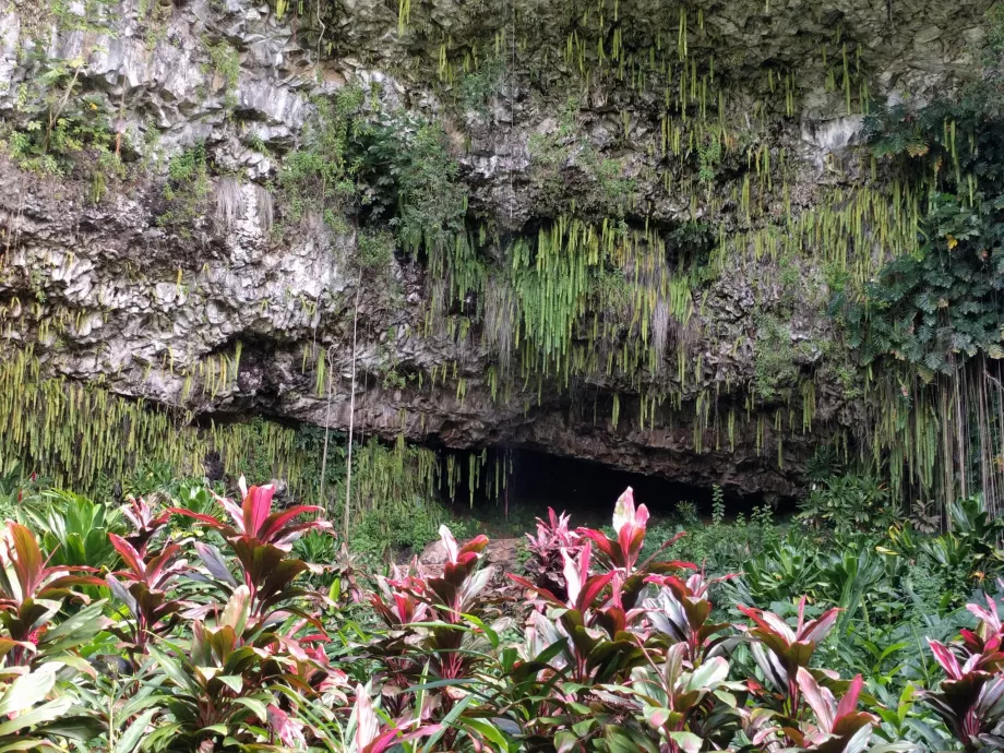 Gruta de los Helechos