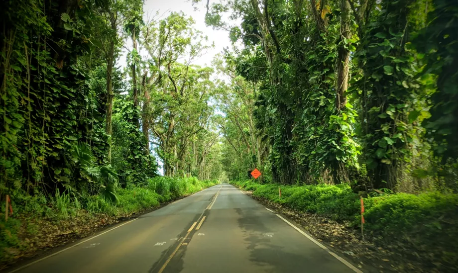 Carretera de Kauai
