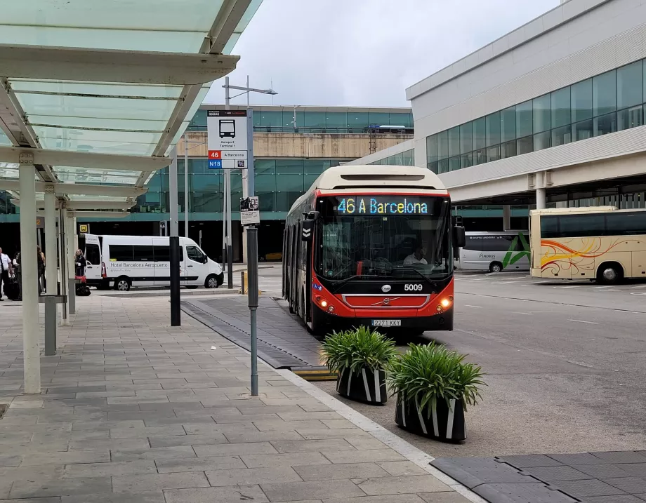Parada 46 de la Terminal 1