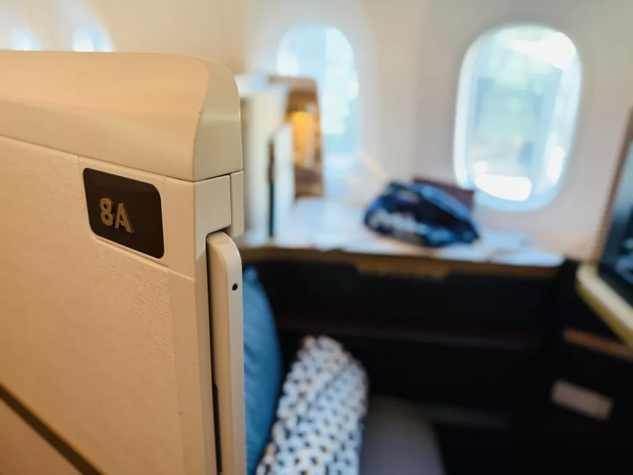 Mi asiento 8A con detalle de la puerta