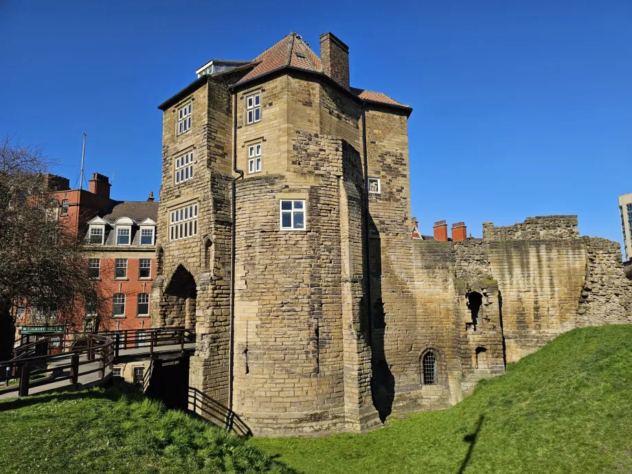 Castillo de Newcastle
