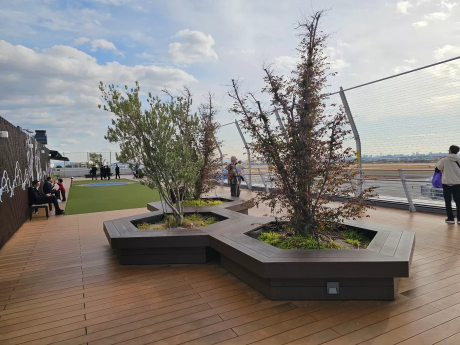 Terraza mirador en la zona del aeropuerto