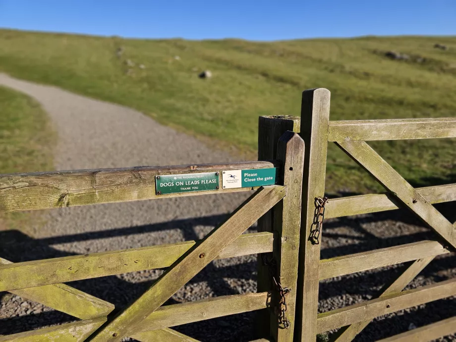 Cierra la puerta para que no se escapen las ovejas